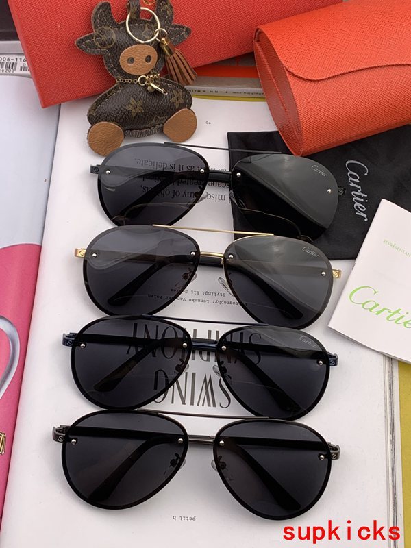 Close-up detail view of Cartier unisex sunglasses