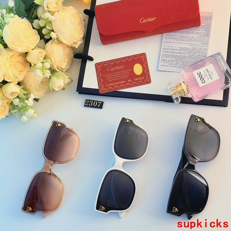 Side view of Cartier unisex sunglasses