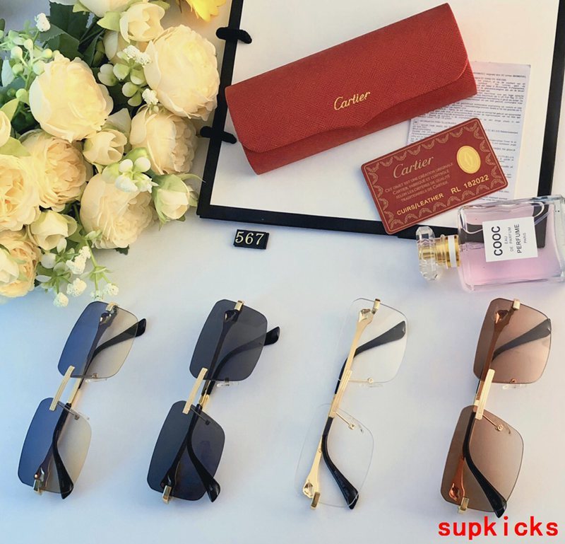 Side view of Cartier unisex sunglasses
