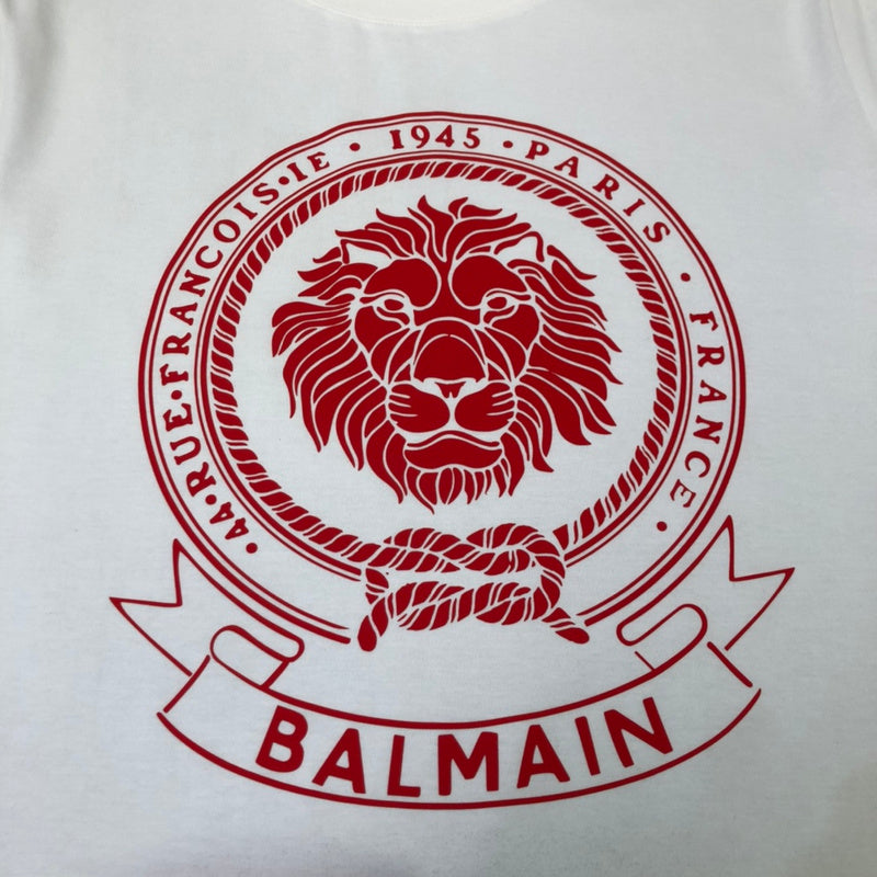 Full silhouette view of Balmain luxury piece style No.110