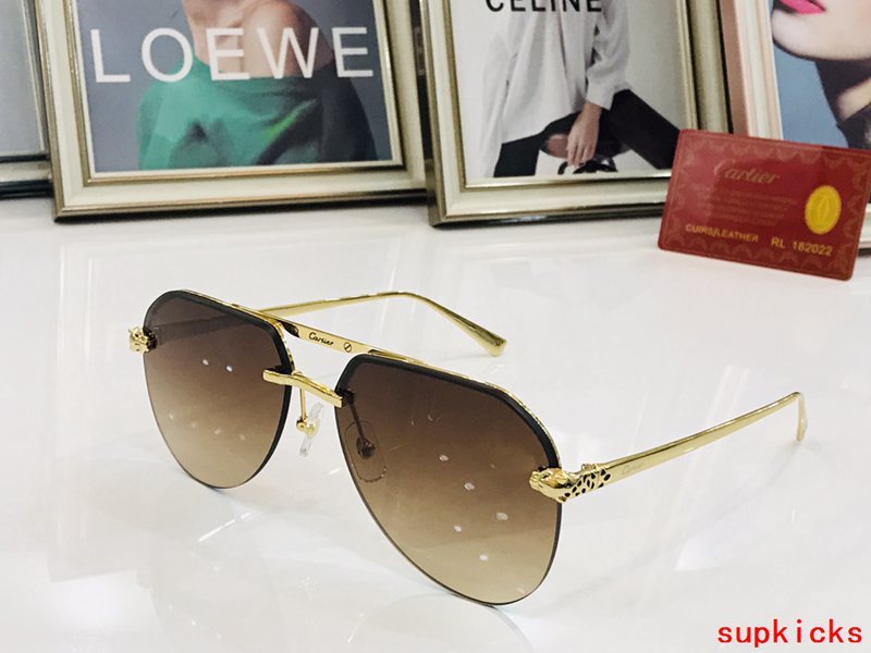 Close-up detail view of Cartier unisex sunglasses