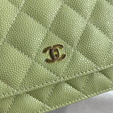 Zivas Charm Streamlined Design Fashion Handbag (Statement-Ready Design) – Close-Up Detail