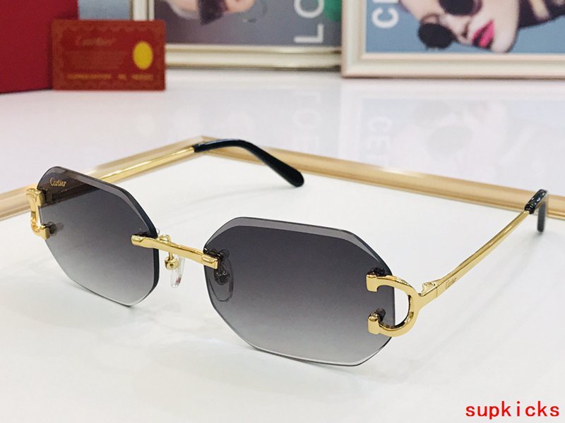 Front view of Cartier unisex sunglasses