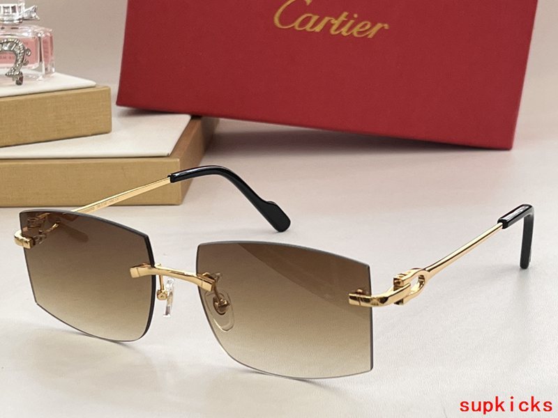 Front view of Cartier unisex sunglasses