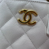 Zivas Charm Streamlined Design Designer Handbag (Everyday Luxury Essential) – Lifestyle Shot