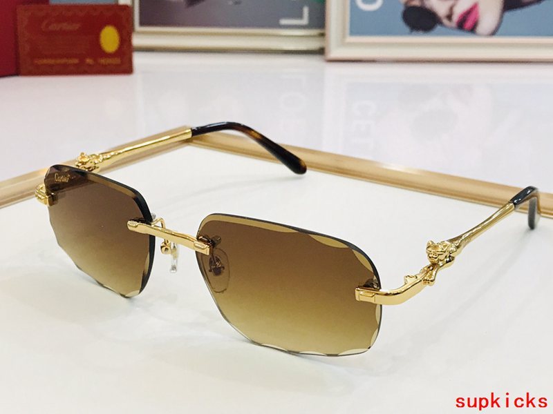 Full view of Cartier unisex sunglasses