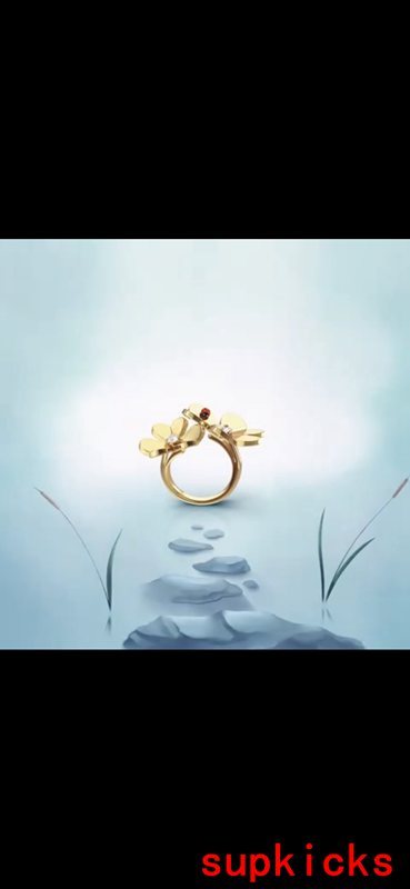 Close-up detail view of Van Cleef & Arpels unisex jewelry piece