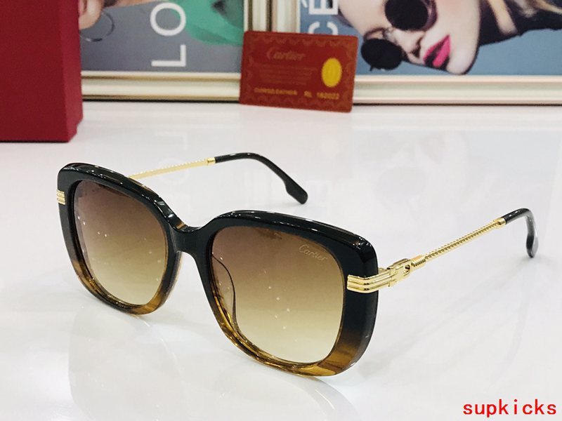 Lifestyle view of Cartier unisex sunglasses