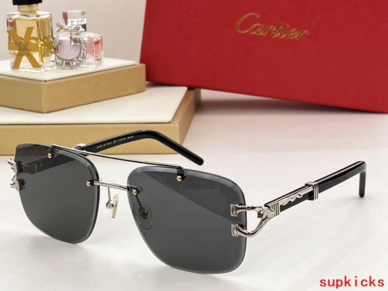 Close-up detail view of Cartier unisex sunglasses