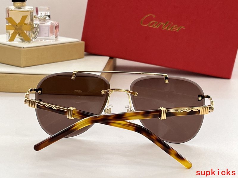 Close-up detail view of Cartier unisex sunglasses