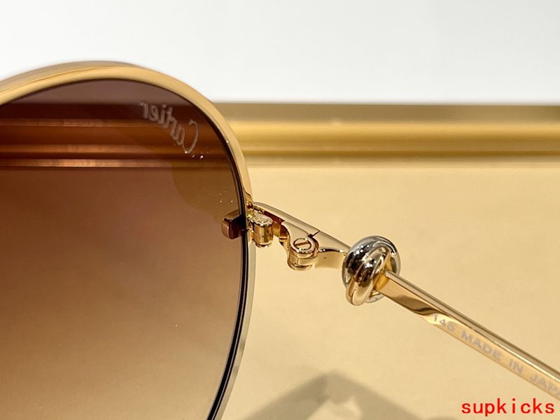 Side view of Cartier unisex sunglasses