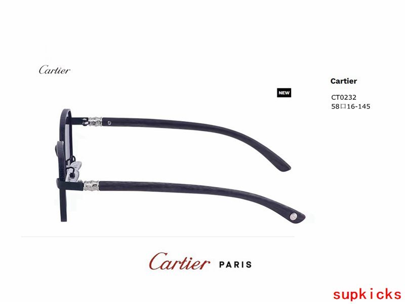 Front view of Cartier unisex sunglasses