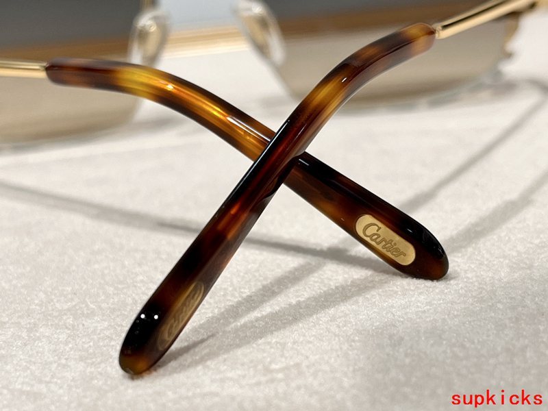 Lifestyle view of Cartier unisex sunglasses