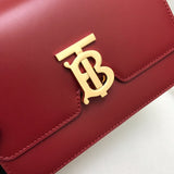 Ziva's Charm handbag – close-up view (one versatile size)