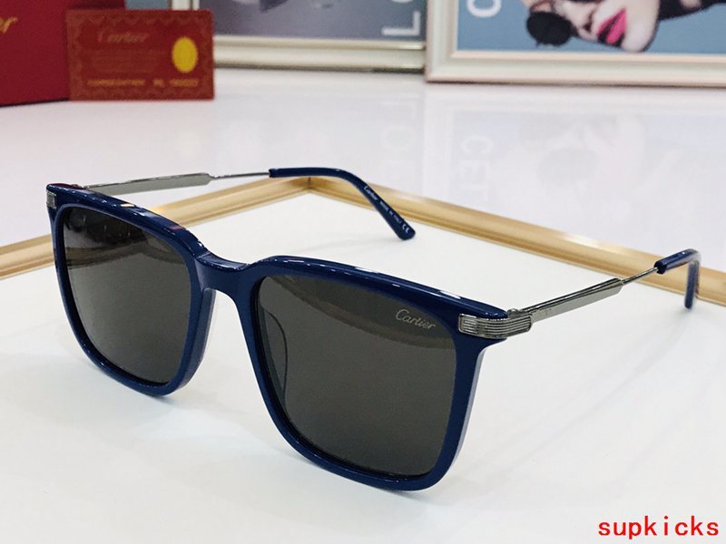 Side view of Cartier unisex sunglasses