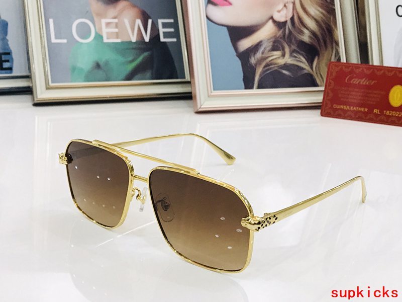 Close-up detail view of Cartier unisex sunglasses