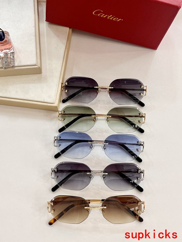 Lifestyle view of Cartier unisex sunglasses