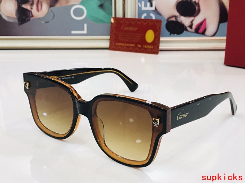 Side view of Cartier unisex sunglasses