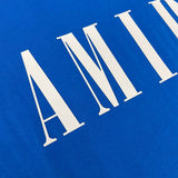 Amiri t-shirt angled view — premium authentic designer style