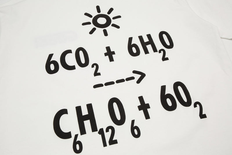 Flat lay presentation of Louis Vuitton cotton t-shirt with everyday silhouette