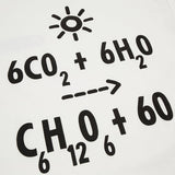 Flat lay presentation of Louis Vuitton cotton t-shirt with everyday silhouette