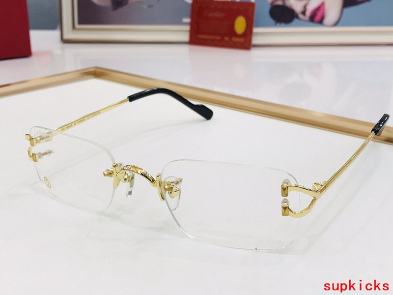 Close-up detail view of Cartier unisex sunglasses