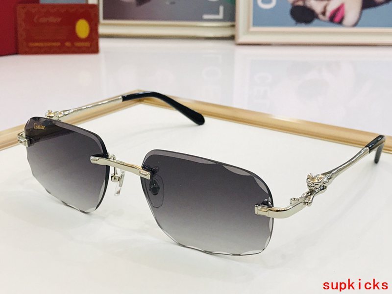 Front view of Cartier unisex sunglasses