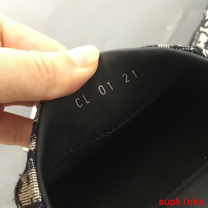 Dior shoes Style 043 - logo and branding close-up