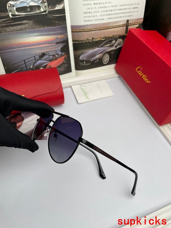 Side view of Cartier unisex sunglasses