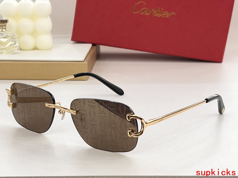 Full view of Cartier unisex sunglasses