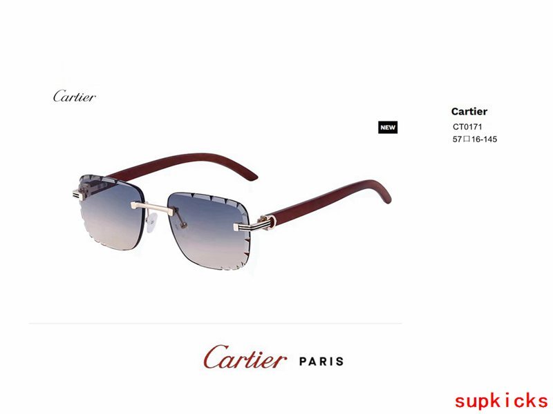 Close-up detail view of Cartier unisex sunglasses
