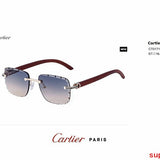 Close-up detail view of Cartier unisex sunglasses