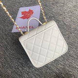 Zivas Charm Polished Finish Designer Handbag (Effortless Style Upgrade) – Lifestyle Shot
