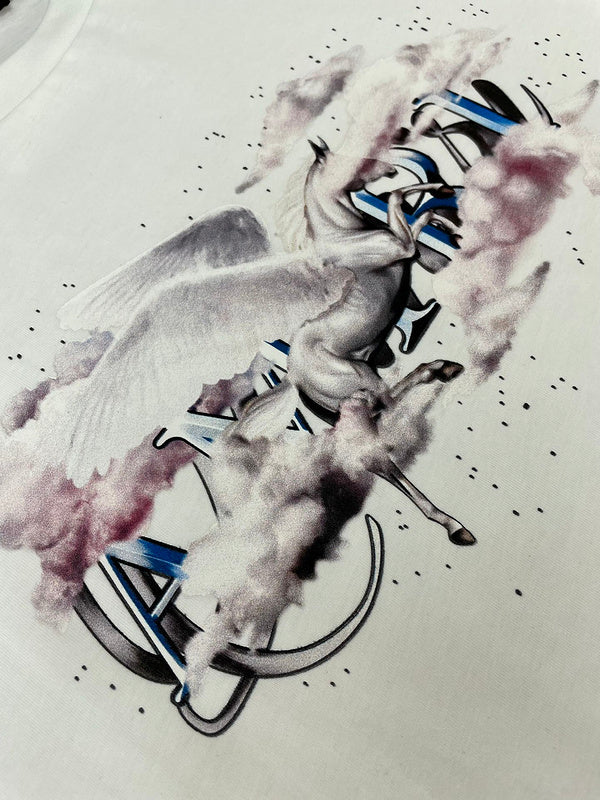 Amiri t-shirt styled look premium fashion