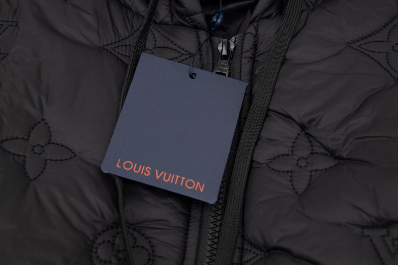 Full styled look of Louis Vuitton luxury clothing with monogram-inspired silhouette