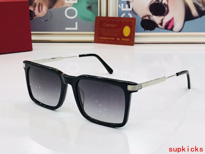 Side view of Cartier unisex sunglasses