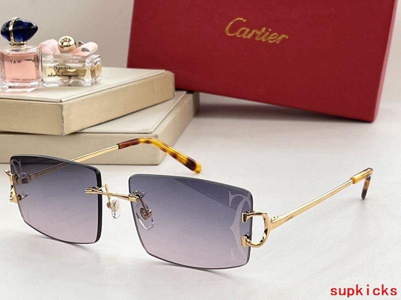 Full view of Cartier unisex sunglasses