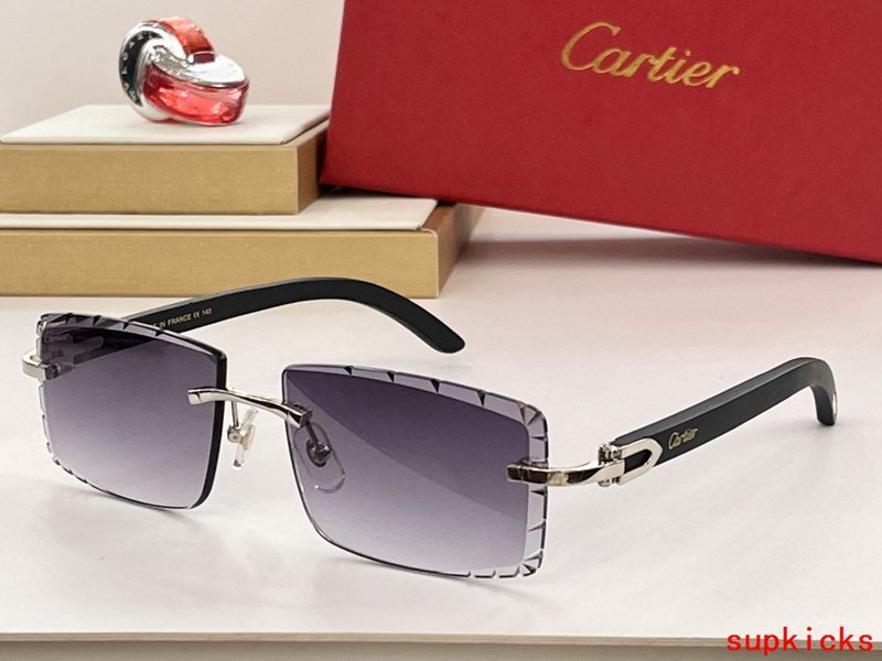 Side view of Cartier unisex sunglasses