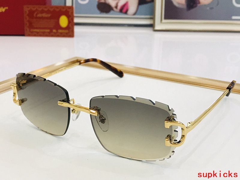 Full view of Cartier unisex sunglasses
