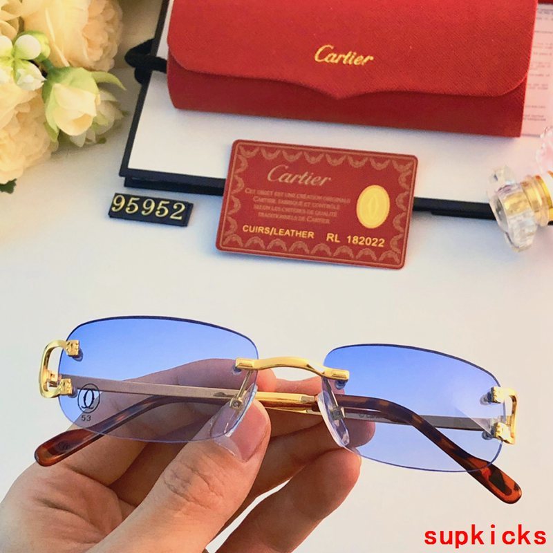 Side view of Cartier unisex sunglasses