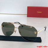 Side view of Cartier unisex sunglasses