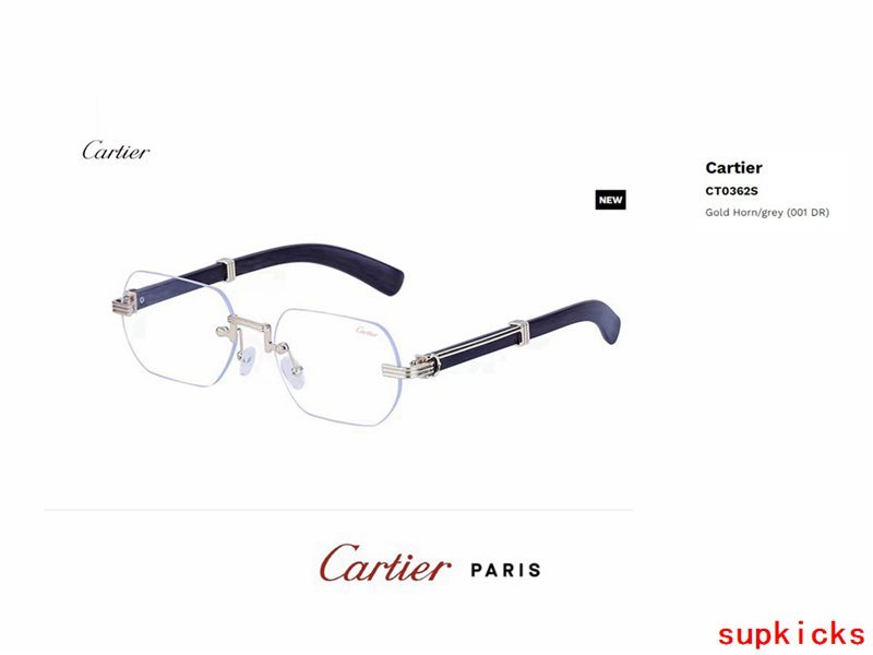 Front view of Cartier unisex sunglasses