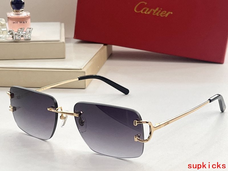 Lifestyle view of Cartier unisex sunglasses