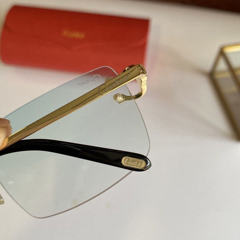 Close-up detail view of Cartier unisex sunglasses