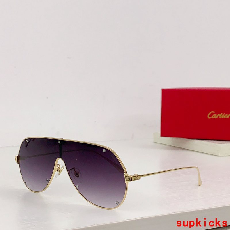 Front view of Cartier unisex sunglasses