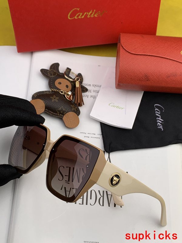 Close-up detail view of Cartier unisex sunglasses
