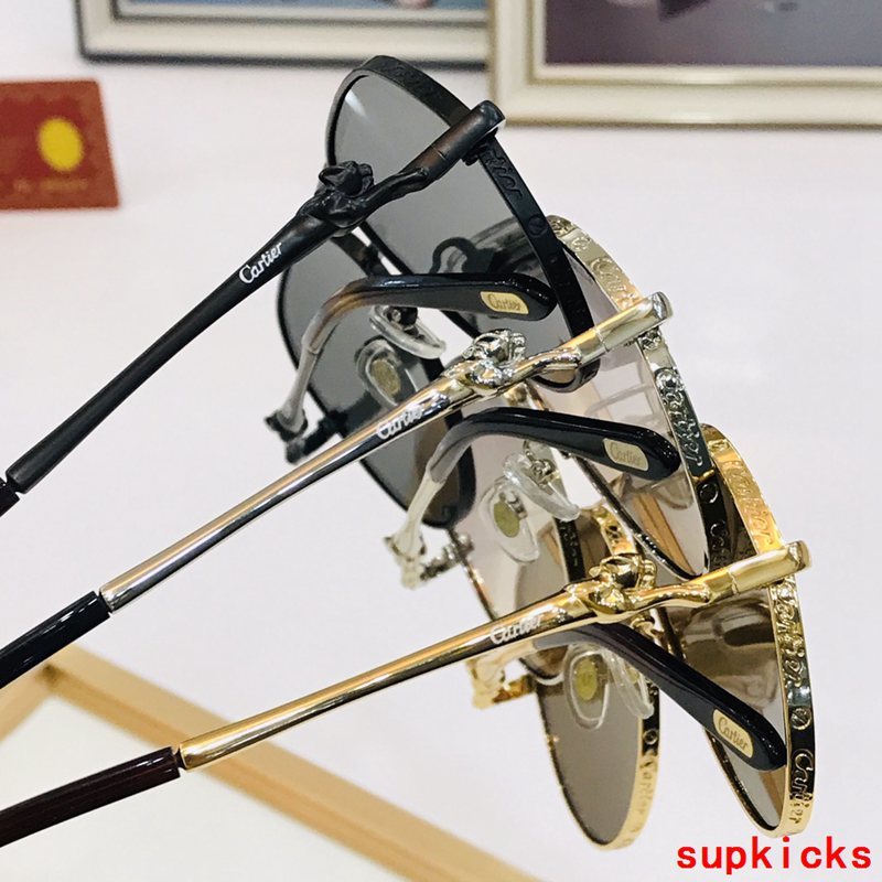 Side view of Cartier unisex sunglasses