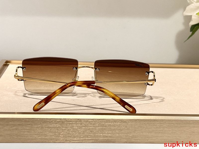 Front view of Cartier unisex sunglasses