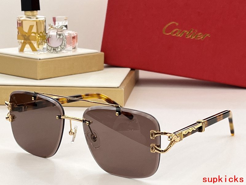 Front view of Cartier unisex sunglasses