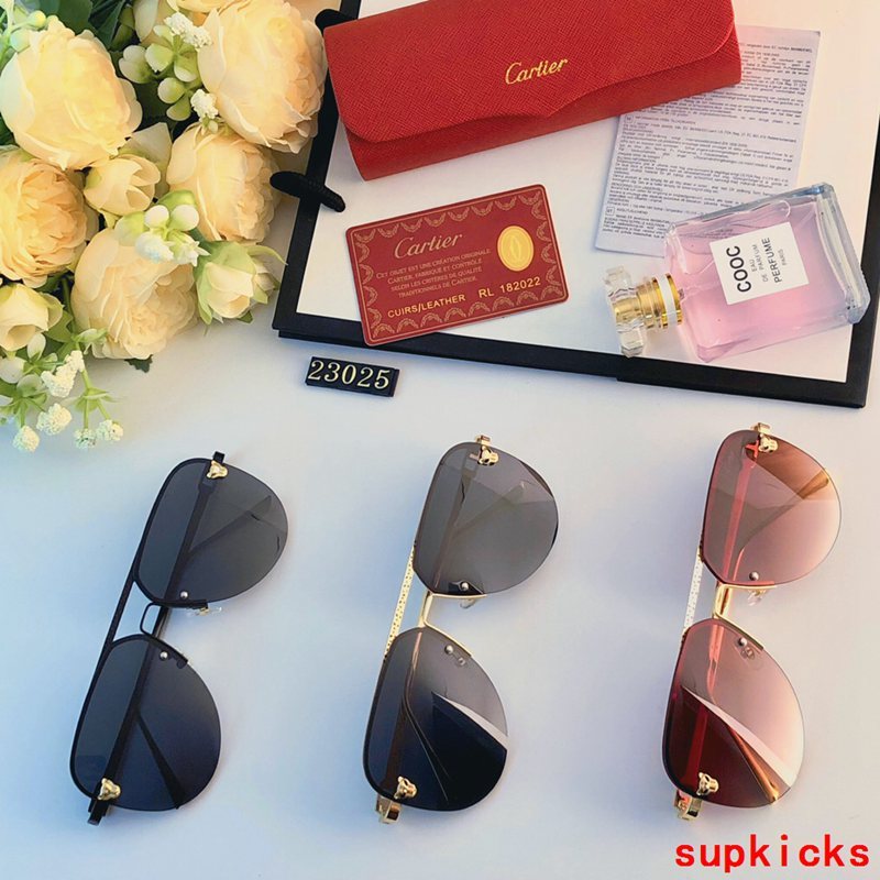 Front view of Cartier unisex sunglasses